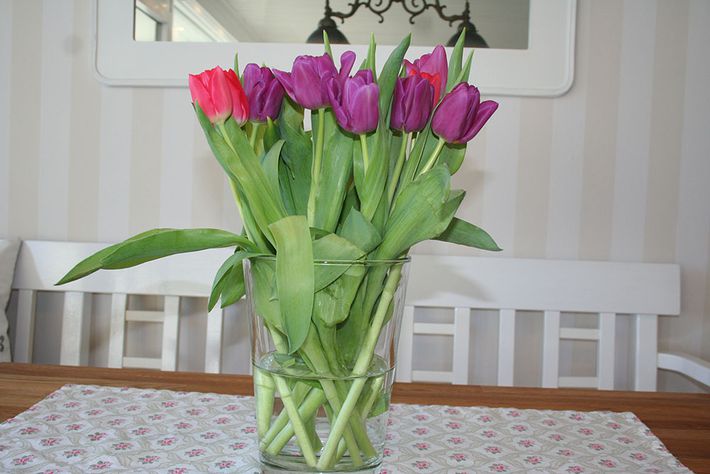 Blumen auf dem Esstisch